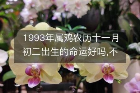 93年4月出生的你，究竟拥有怎样的命运与发展潜力？