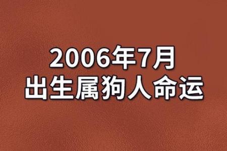 属狗时辰出生的命理解析：揭示你的个性与命运之道