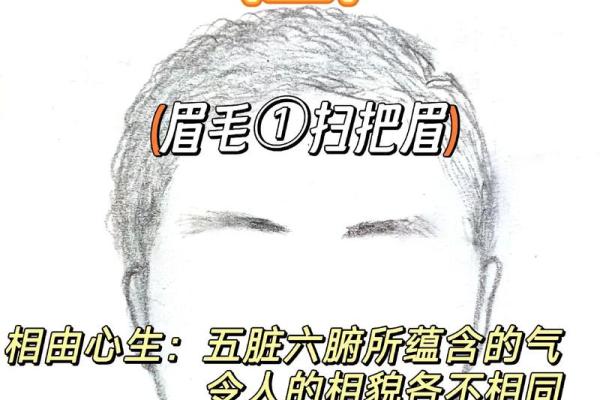 男生眉毛分叉,揭示命运背后的秘密! 男生眉毛分叉,揭示命运背后的秘密!