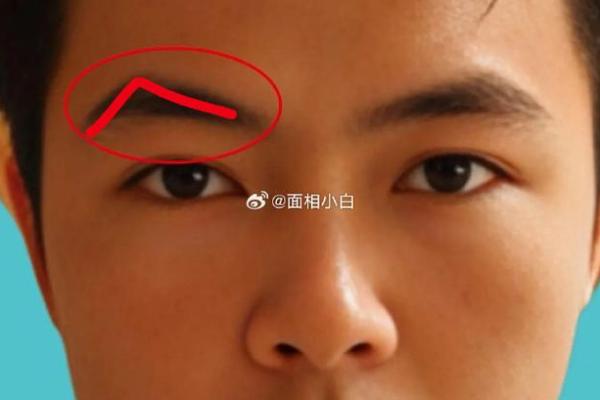 男生眉毛分叉,揭示命运背后的秘密! 男生眉毛分叉,揭示命运背后的秘密!
