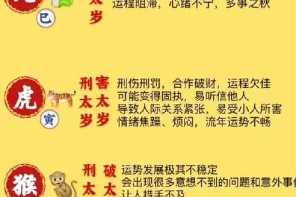 属猪巳时男孩的命运解析：聪明、灵活，人生如戏，如何引领未来