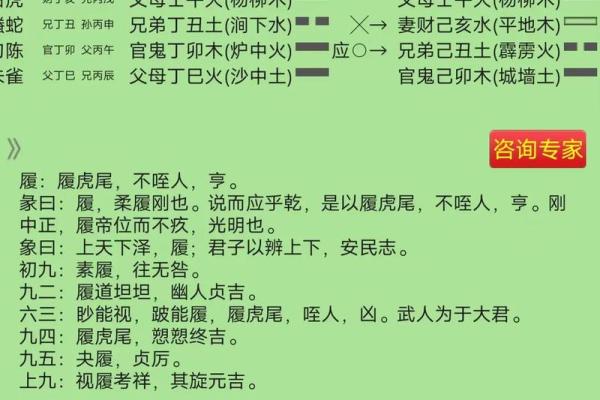 年命与卦命的区别:探讨命理学中的两种重要概念 年命与卦命的区别:探讨命理学中的两种重要概念