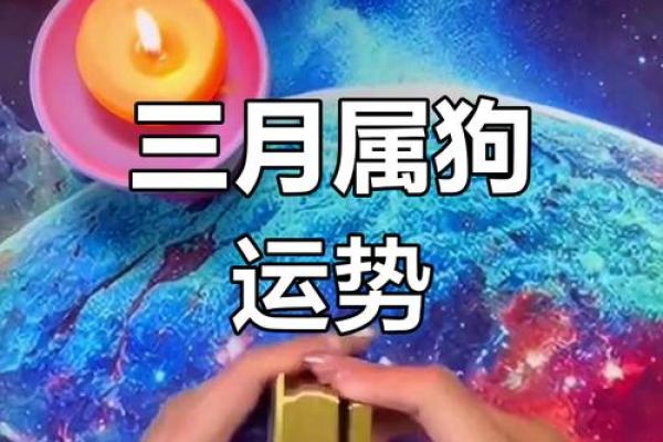 70属狗命运解析：不同年龄段的性格与发展机遇