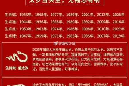 92年出生的人命运与生肖的奥秘解析
