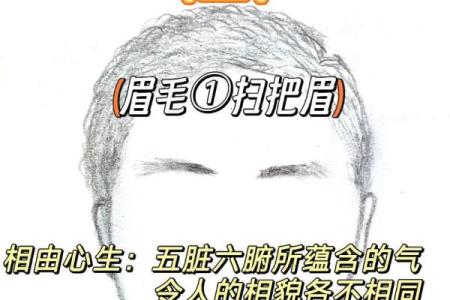 男生眉毛分叉，揭示命运背后的秘密！