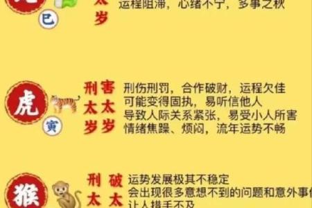 属猪巳时男孩的命运解析：聪明、灵活，人生如戏，如何引领未来