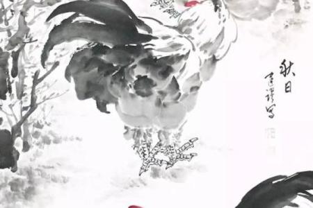 1945年鸡年：火鸡的命运与生活智慧探讨