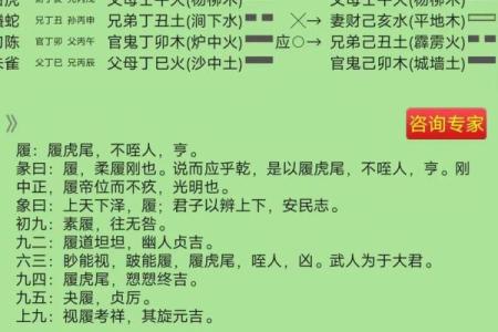 年命与卦命的区别：探讨命理学中的两种重要概念