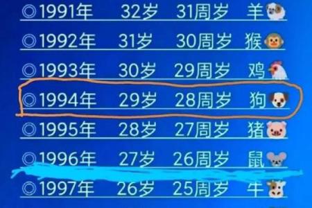 属狗人2023年运势解析：26岁的命运与机遇