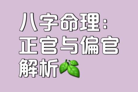 女命偏官入命解析：探讨偏官对女性命运的影响与意义