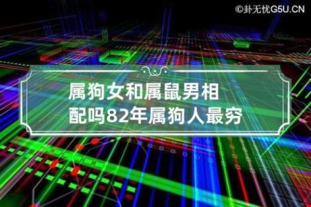 属狗申时出生者的命运分析：如何与命理相辅相成？