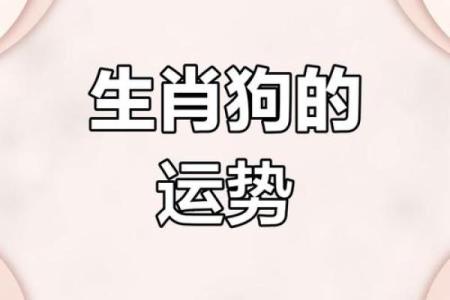 1948年属狗人的命运及性格分析：机遇与挑战并存！