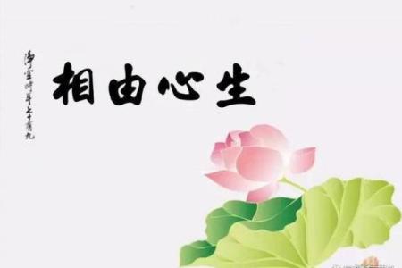 深入探讨命理学：你的命指到底意味着什么？