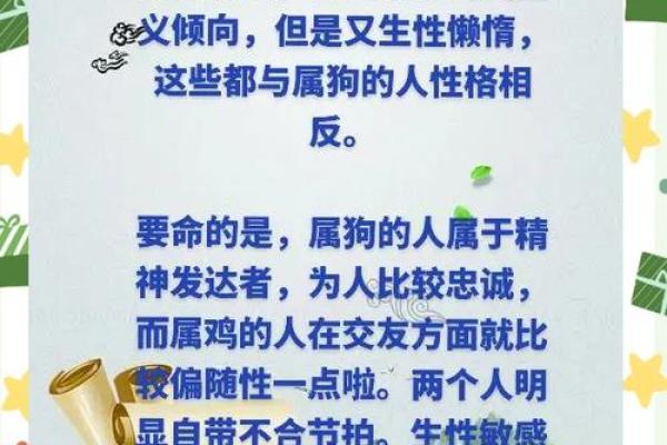 属狗男的老婆命理解析：缘分与性格的完美契合