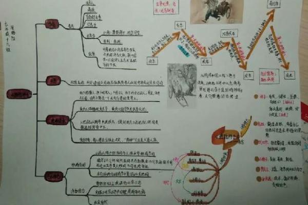 1947年出生的人生轨迹与命运解析:探索他们的个性与未来 1947年出生的人生轨迹与命运解析:探索他们的个性与未来
