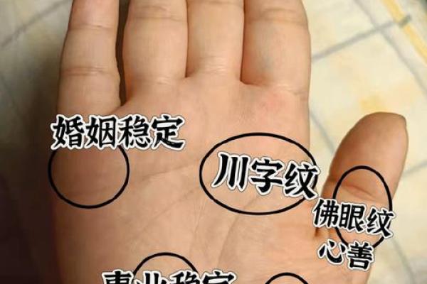 女人手的男人，命运的神秘符号与人生的启示