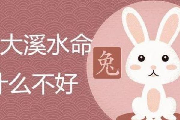 1936年出生的水命之人:命运与性格的探索 1936年出生的水命之人:命运与性格的探索