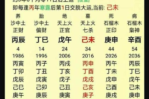 食神格男命:细说其独特魅力与命理解析 食神格男命:细说其独特魅力与命理解析