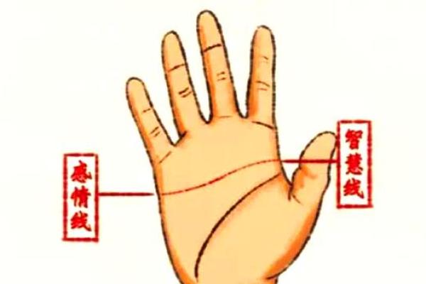 1935年出生的人：命运与性格的深度解析