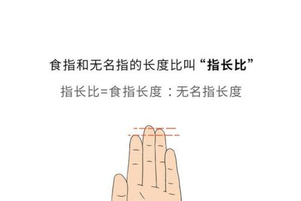 手指长得没有肉,影响命运的神秘解读 手指长得没有肉,影响命运的神秘解读