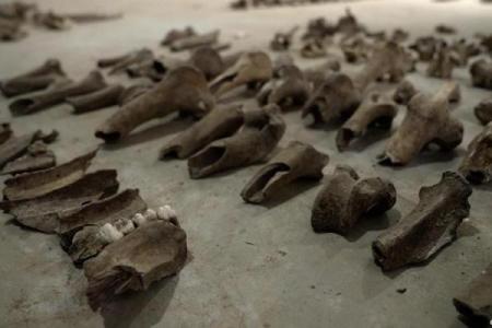 1931年出生的羊命：探索温文尔雅的命运之旅