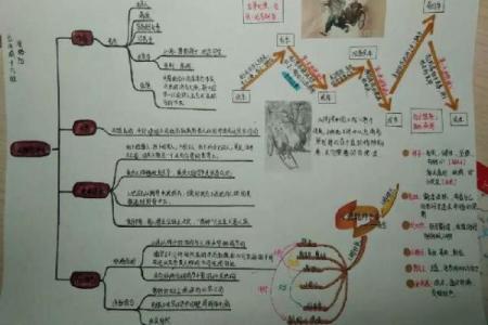 1947年出生的人生轨迹与命运解析：探索他们的个性与未来
