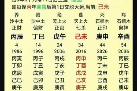 食神格男命：细说其独特魅力与命理解析