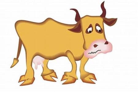 73年属猪命运解析：智慧与财富的完美结合