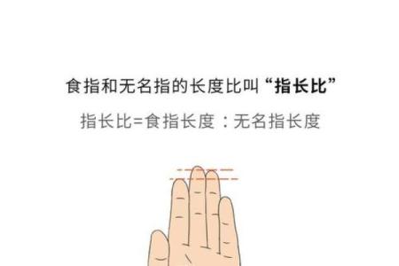 手指长得没有肉，影响命运的神秘解读