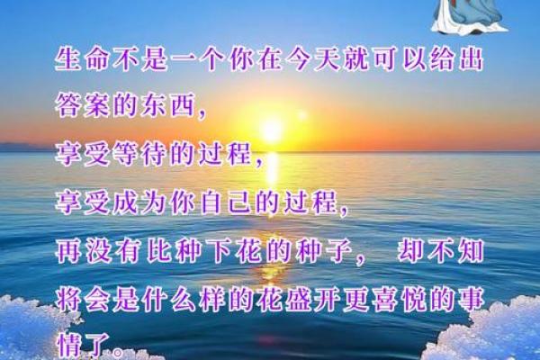 生命交换的深意:一命换一命的伦理思考与人生启示 生命交换的深意:一命换一命的伦理思考与人生启示