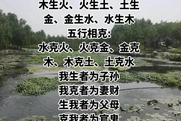 巧妙解读命运：五行相生之道与人生智慧