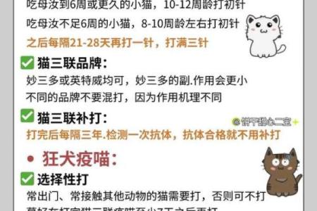 适合养猫的命格解析：哪些人能够与猫咪相伴一生？