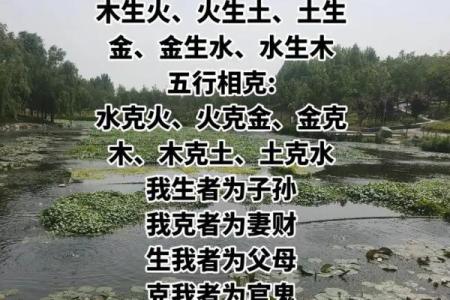 巧妙解读命运：五行相生之道与人生智慧