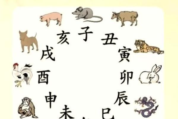 76岁属什么生肖？解密生肖与命理的奥秘！