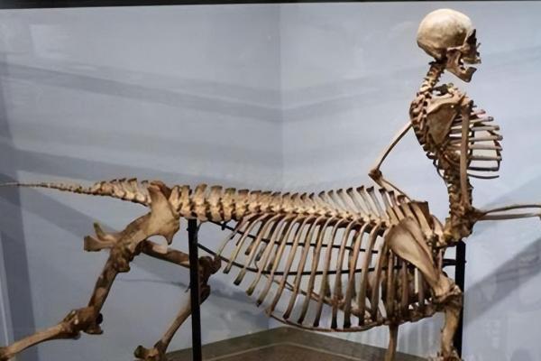 1398年出生的人与命运之间的神秘联系 1398年出生的人与命运之间的神秘联系