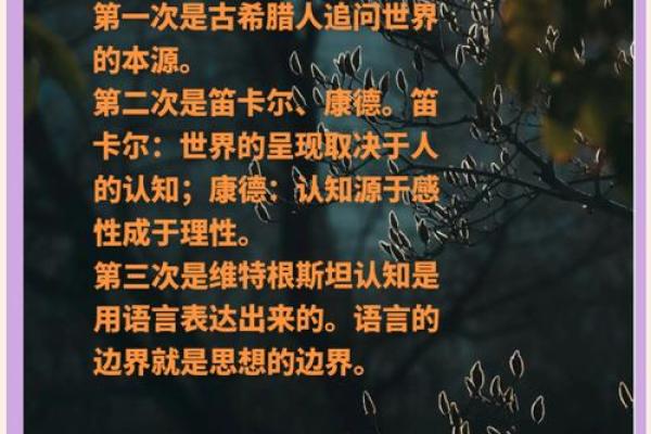 深入探讨:一命换三命背后的深意与哲理思考 深入探讨:一命换三命背后的深意与哲理思考