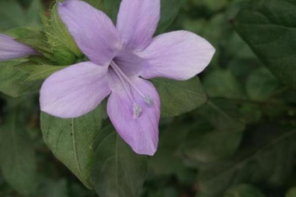 山头土命运解析:夺回自我,迎接人生转机! 山头土命运解析:夺回自我,迎接人生转机!