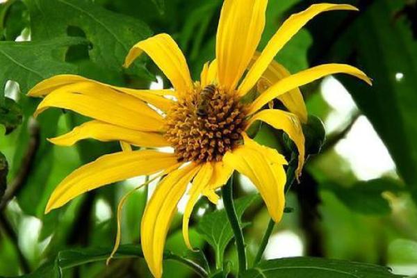 山头土命运解析:夺回自我,迎接人生转机! 山头土命运解析:夺回自我,迎接人生转机!