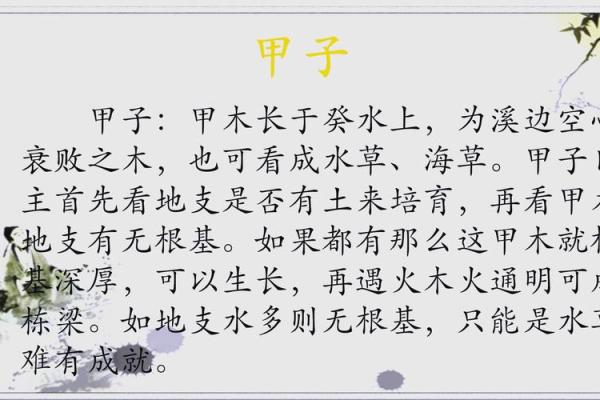 《解析甲子乙亥丙辰丙申命理:揭示命运的奥秘与生活智慧》 《解析甲子乙亥丙辰丙申命理:揭示命运的奥秘与生活智慧》