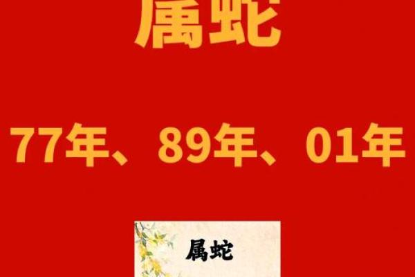 探秘23岁生肖与命运：揭开你的未来之谜