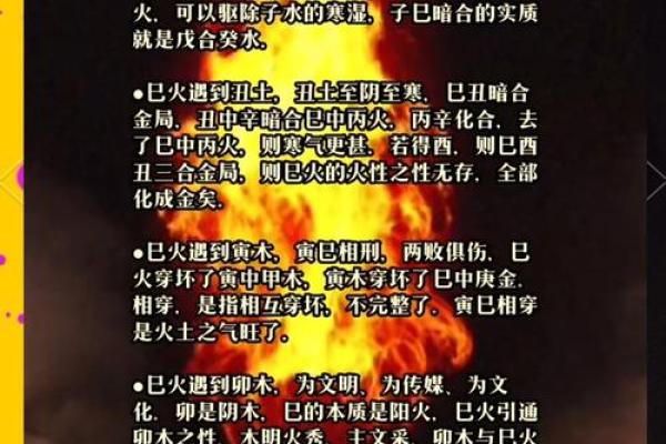1913年出生的人属什么命？探寻其命运与性格特征的奥秘