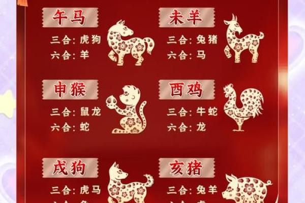 48岁属什么命？揭秘命运与生肖的奥秘！