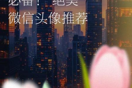 水命女人如何通过佩戴饰品招财运，让生活更美好