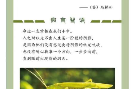 1945年：命运的交响曲与历史的转折点