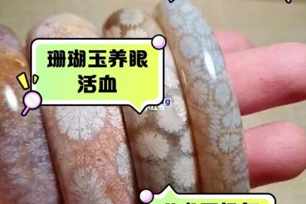 珊瑚手镯的魅力与命理——探索它的神秘能量与人际关系的影响