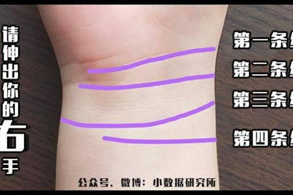 手中几条线，解读命运之路的奥秘