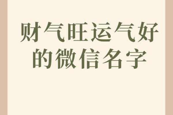 属猪大海水命如何旺财补运，增运秘诀详解
