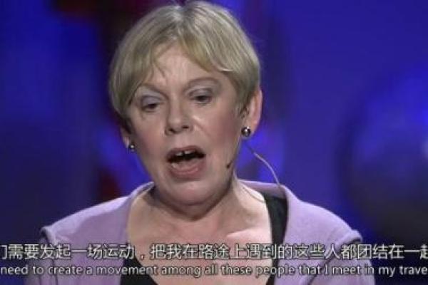 01年出生的命运解析：探秘这一年的孩子们与他们的未来