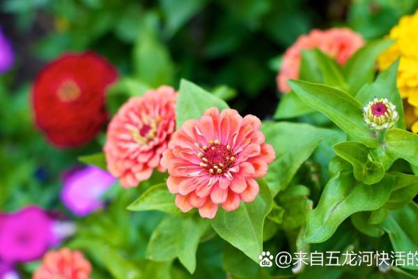 壬水命的护航者：选择合适的玉石，提升运势与能量