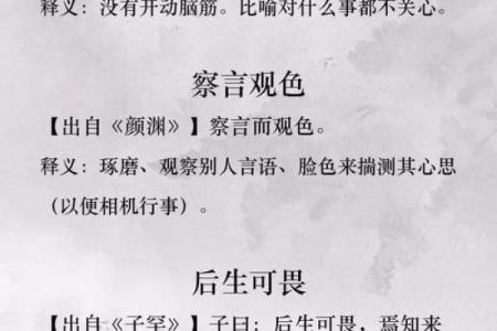 如何通过成语修身养性，提升个人素养与生活智慧